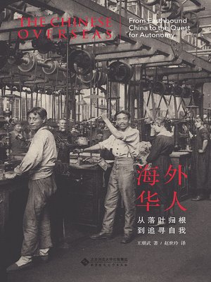 海外华人：从落叶归根到追寻自我 - ebook